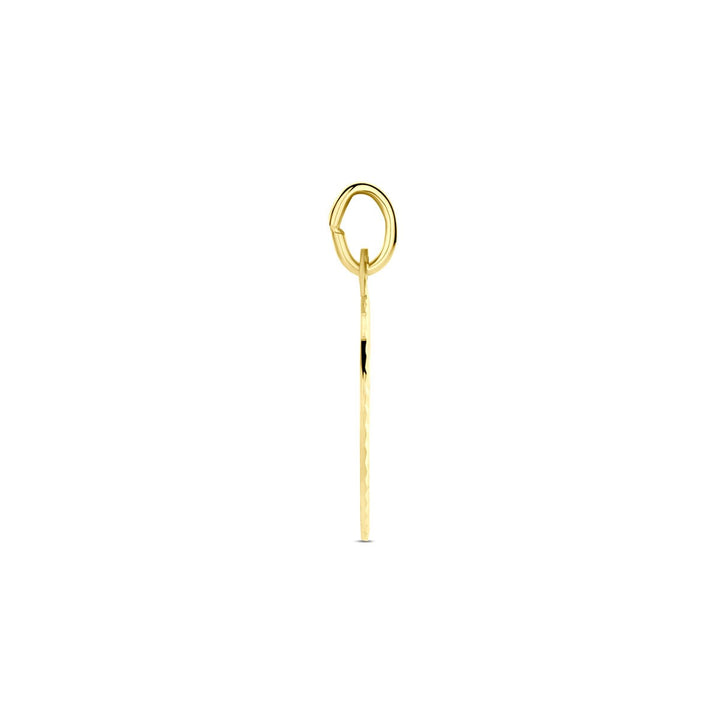 14k Geelgouden gediamanteerde graveerhanger dames