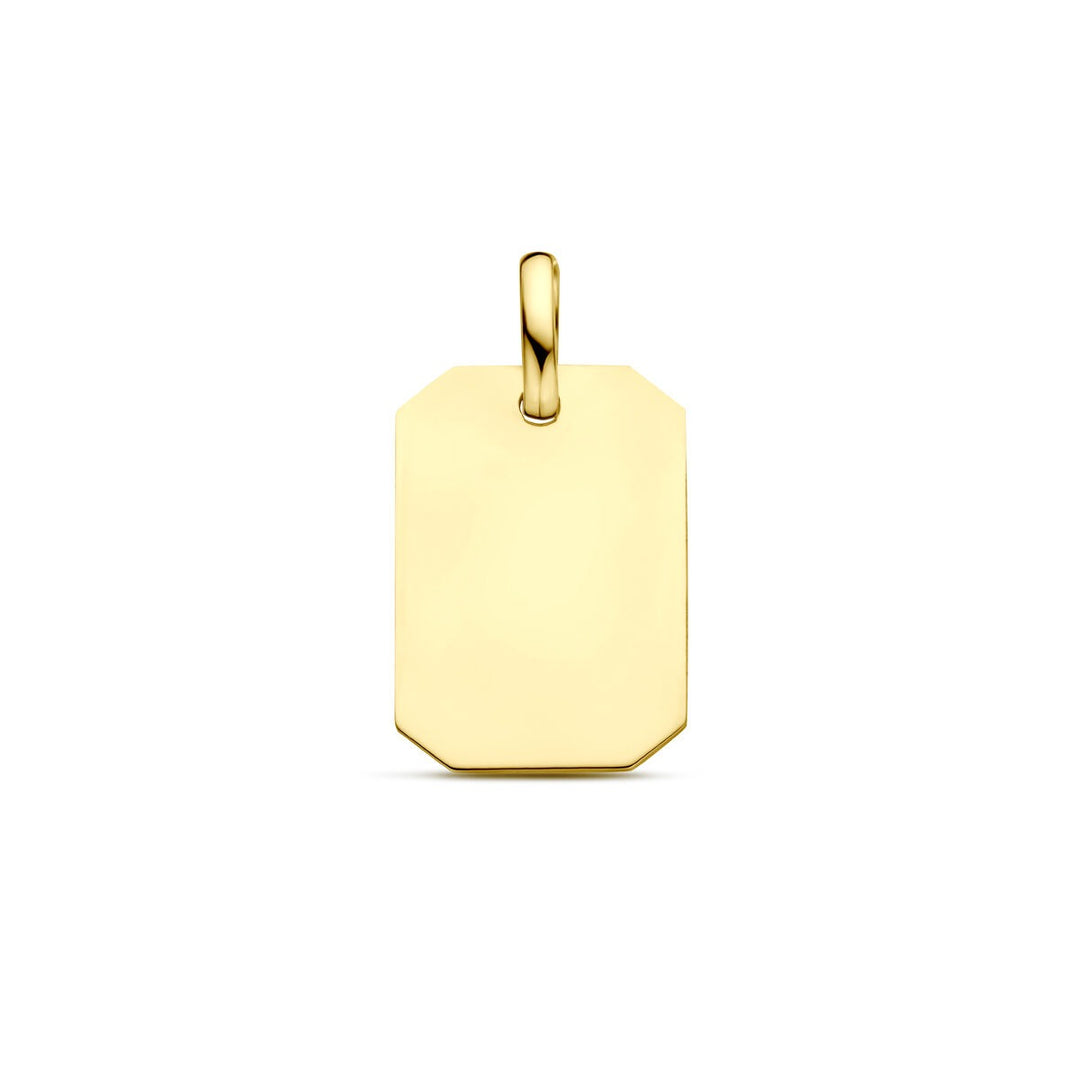 Geelgoudkleurige graveerhanger – 9k