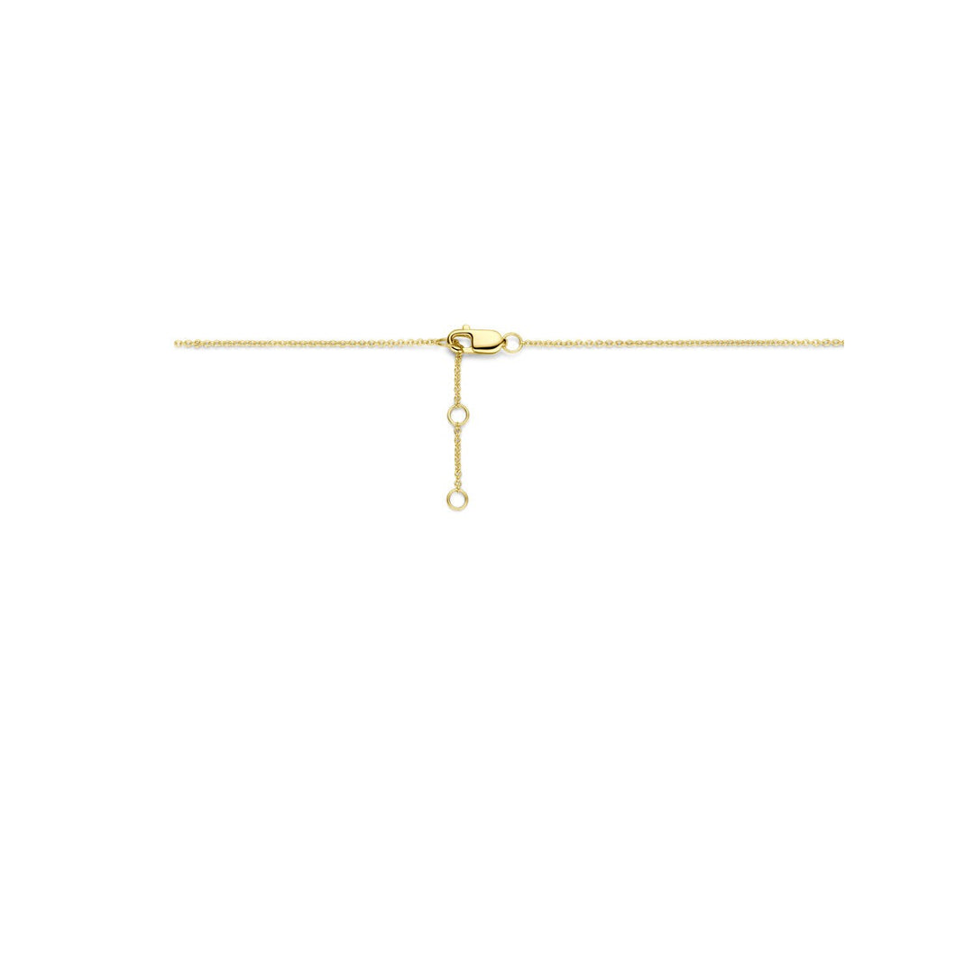 14k Geelgouden hartjes collier met diamant