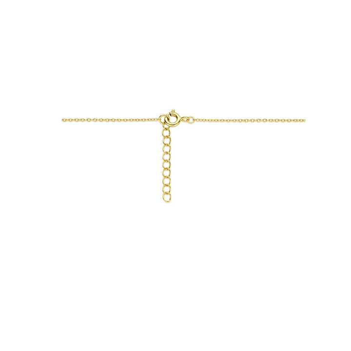 Verguld zilveren collier met zirkonia medaillon