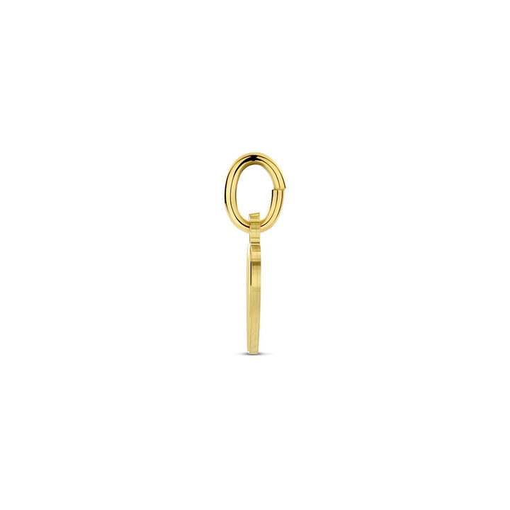 9k Geelgouden graveerhanger hart