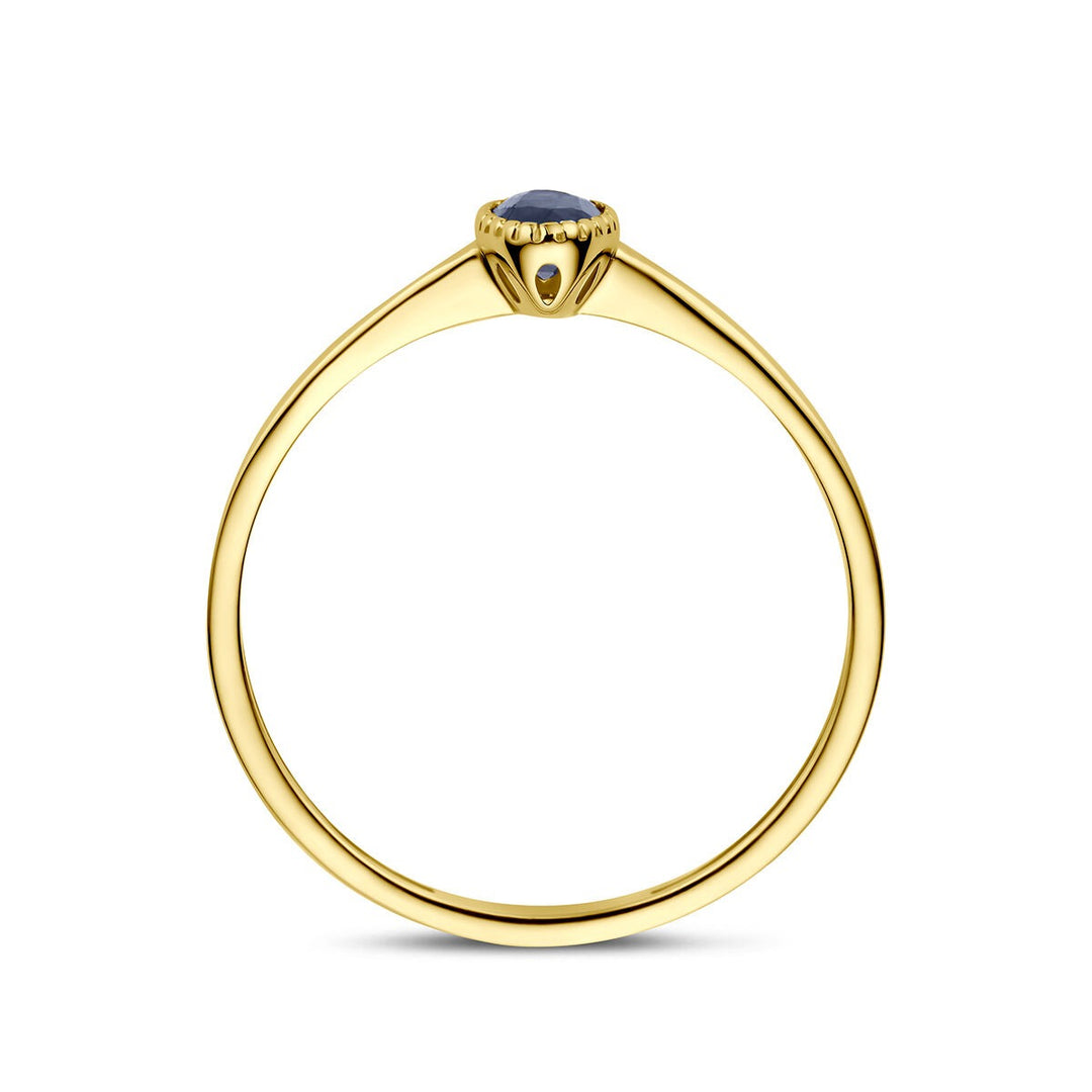 14k Geelgouden ring met saffier