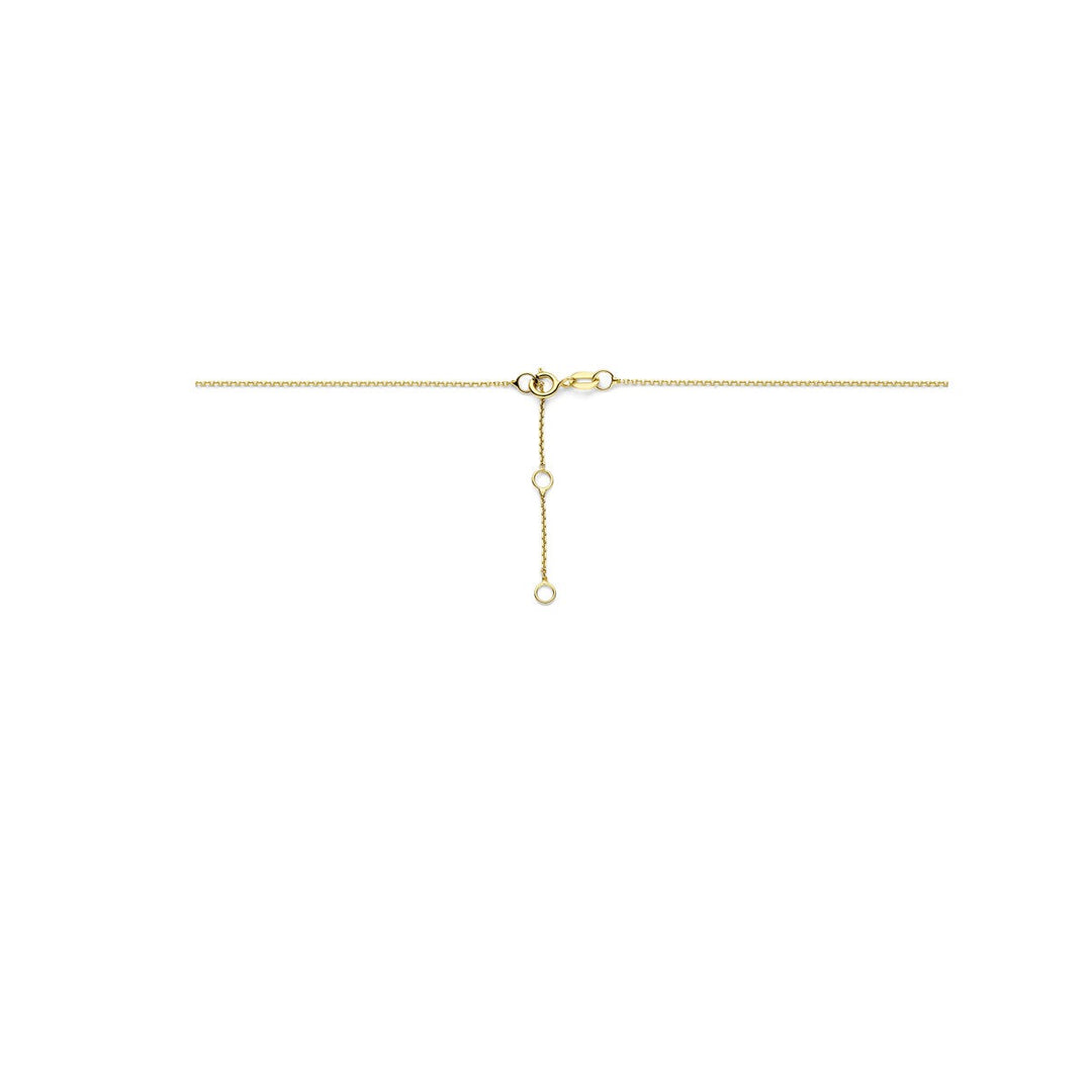 Gouden Collier 14k met Zirkonia – Pavé Zetting
