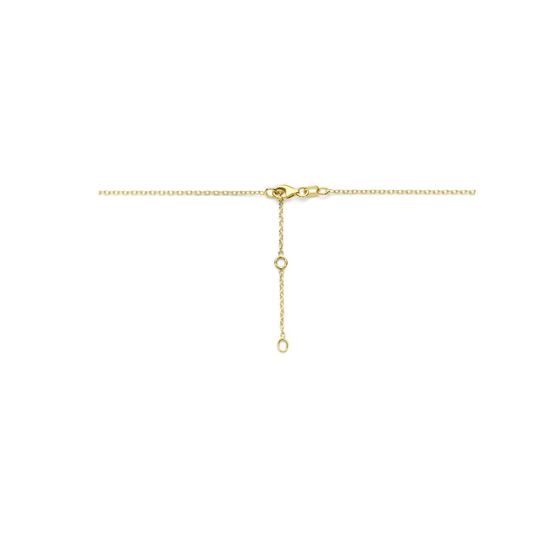14k Geelgouden collier met twee harten