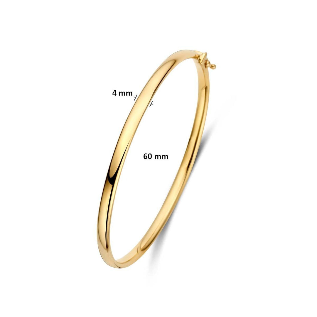9k Geelgouden bangle met scharniersluiting