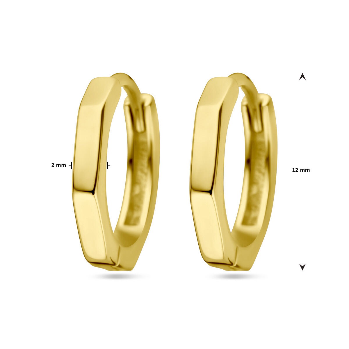 Pozłacane Srebrne Kolczyki Koła – 12x2 mm
