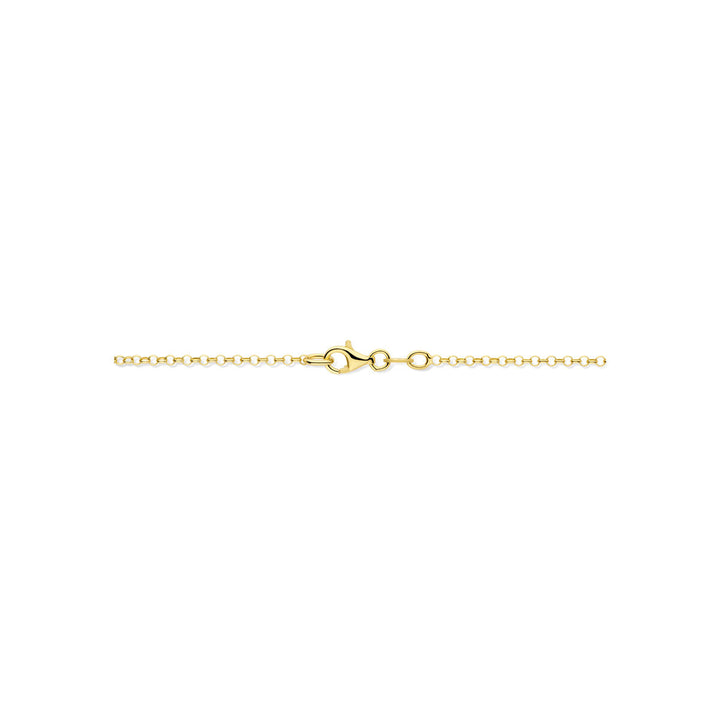 Verguld 925 zilveren collier met dubbele hartjes