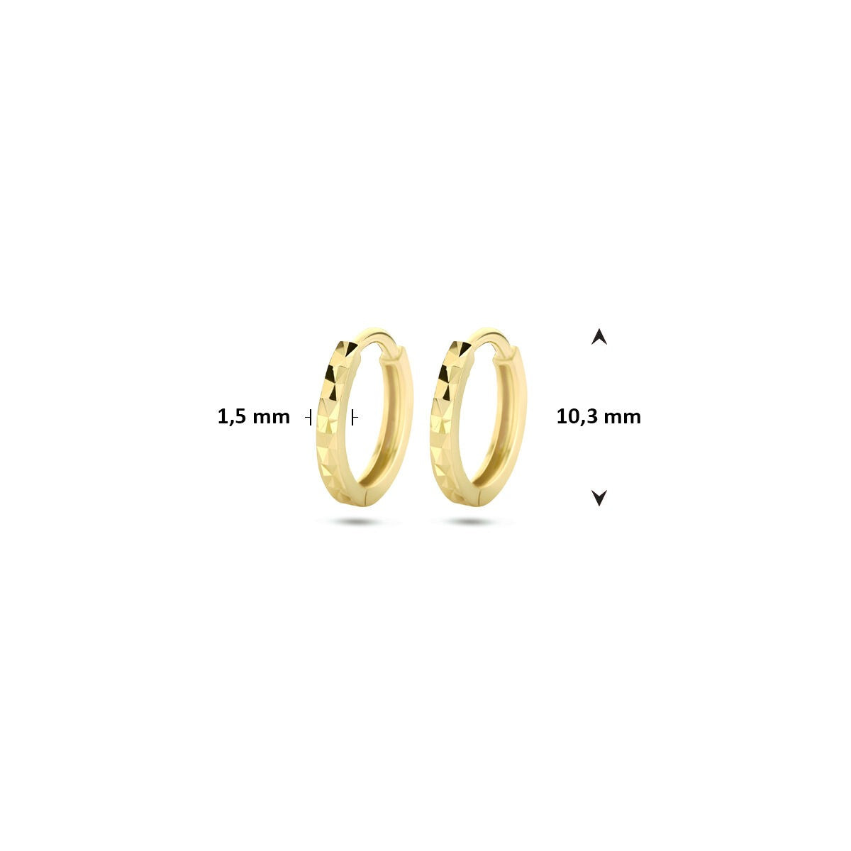 9k Żółte złoto Kolczyki koła 10.3 mm