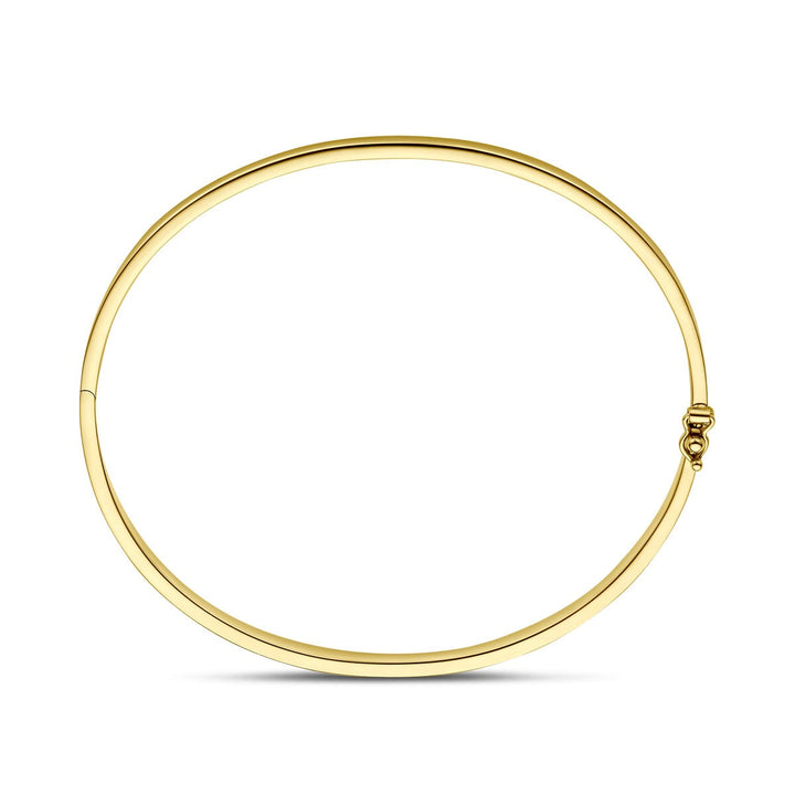 9k Geelgouden bangle armband met vlakke buis en zilveren kern