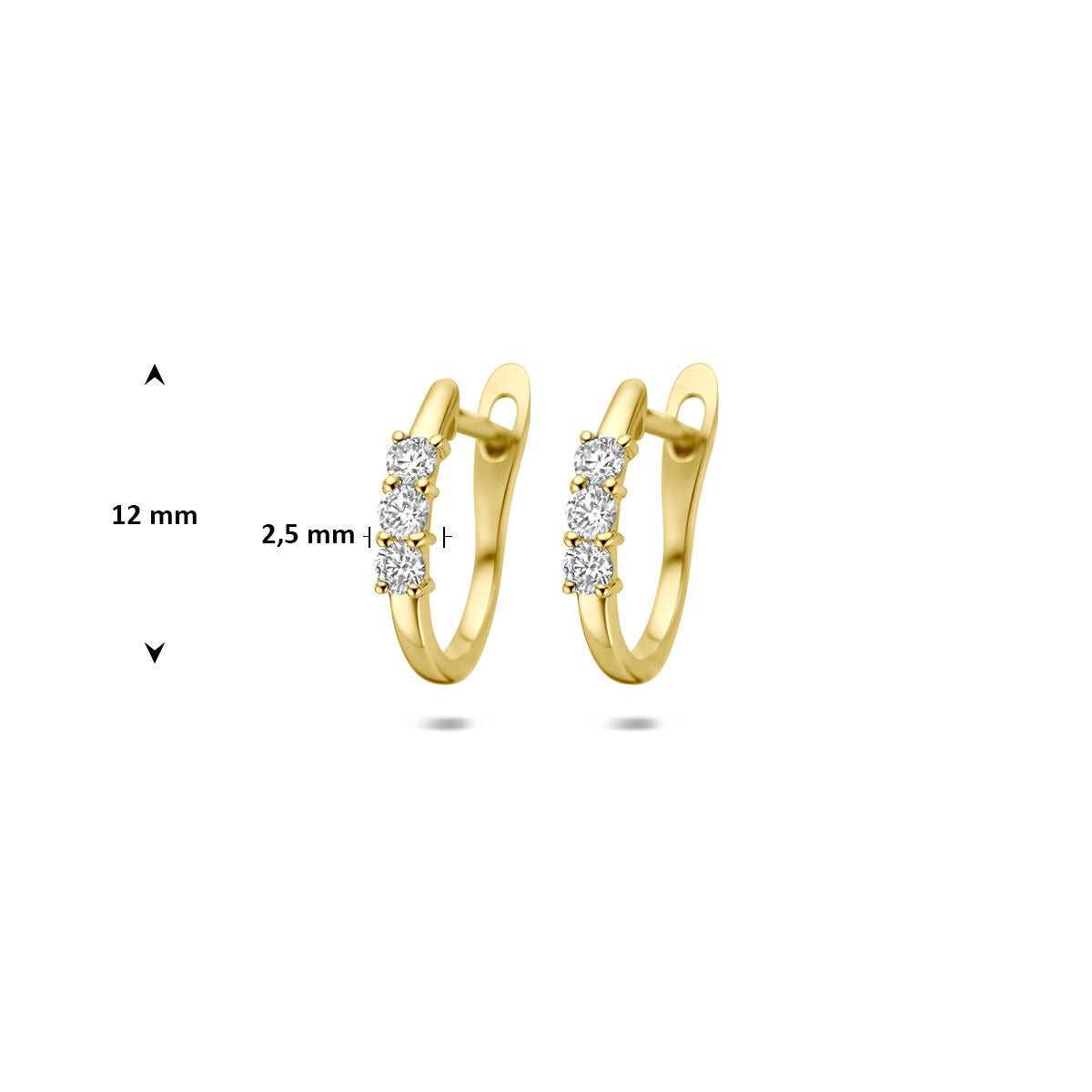 14k Żółte złoto kolczyki koła z diamentem