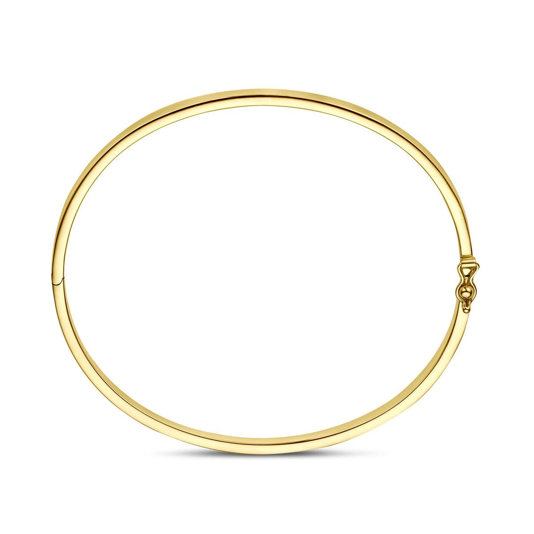 14k Geelgouden Silgold Bangle Dames