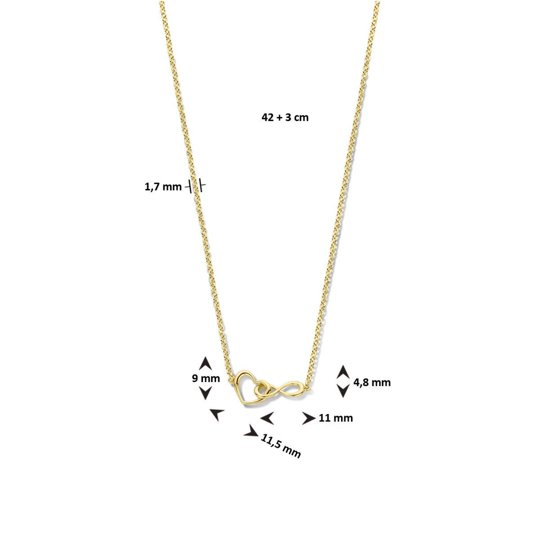 Geelgoud Verguld 925 Zilveren Collier met Hart en Infinity