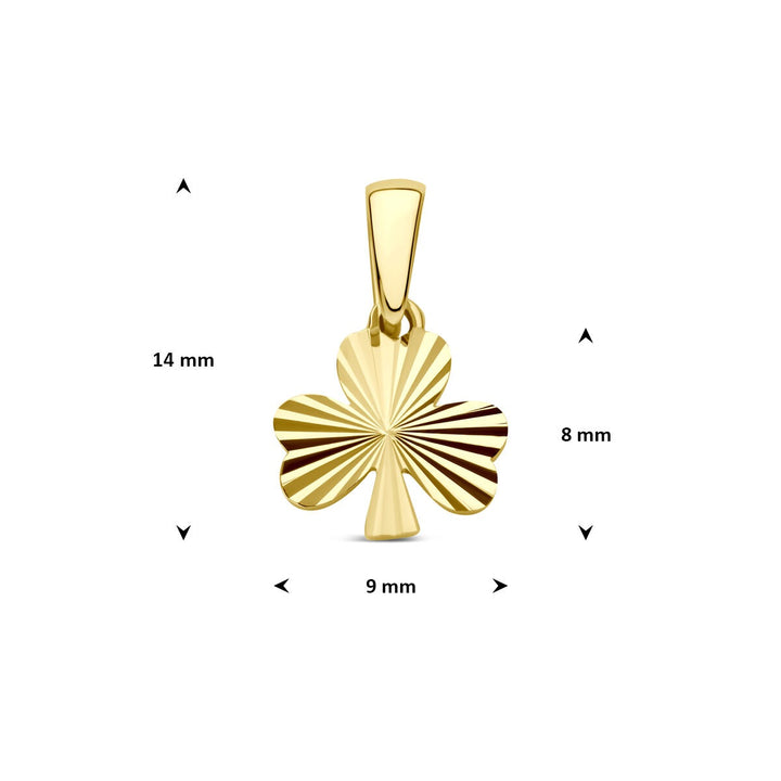 14k Geelgouden Ketting met Hanger Klaver