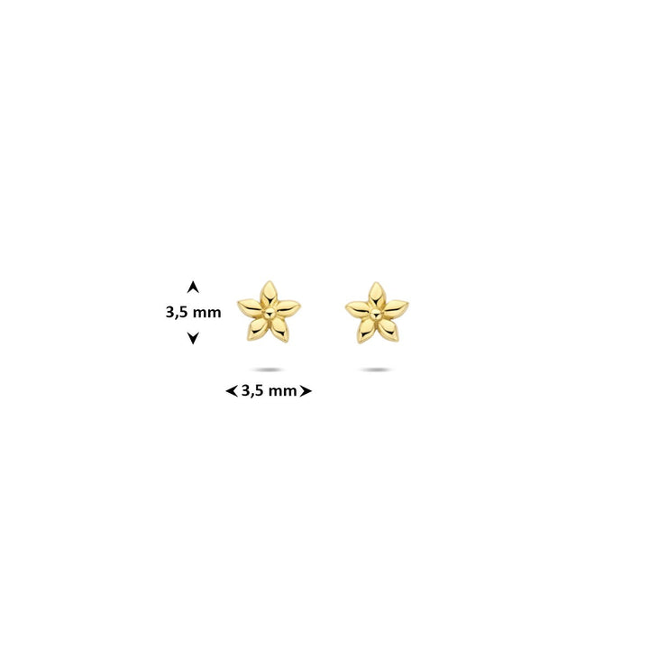 14k Geelgouden Oorknoppen Bloem