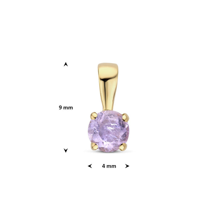 14k Geelgouden Hanger met Amethist