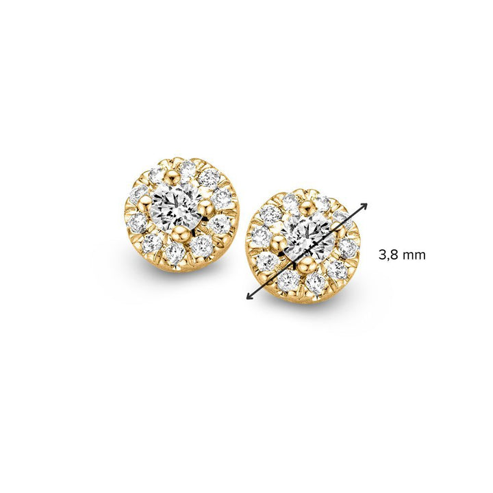Geelgouden Oorstekers in Entourage Zetting met Diamant van 0,17 crt